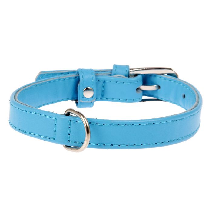 Ошейник неукрашенный CoLLaR Glomour, 27-36 х 1,5 см, синий