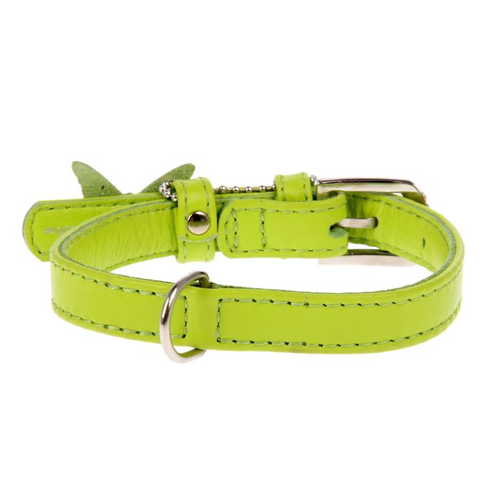 Ошейник неукрашенный CoLLaR Glomour, 27-36 х 1,5 см, зеленый