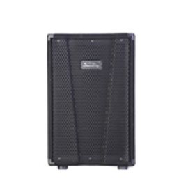 

Активная акустическая система Soundking KJ10A, 350Вт