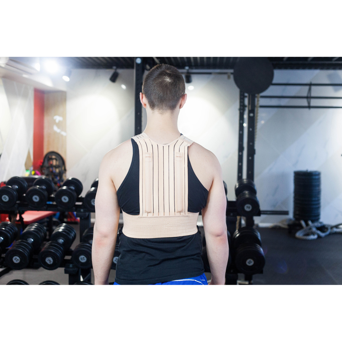 Фиксатор осанки, универсальный