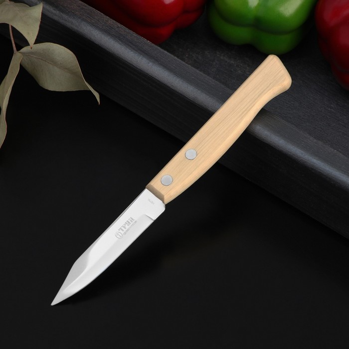 фото Нож кухонный «ретро», для овощей, лезвие 8 см, с деревянной ручкой, цвет бежевый труд вача