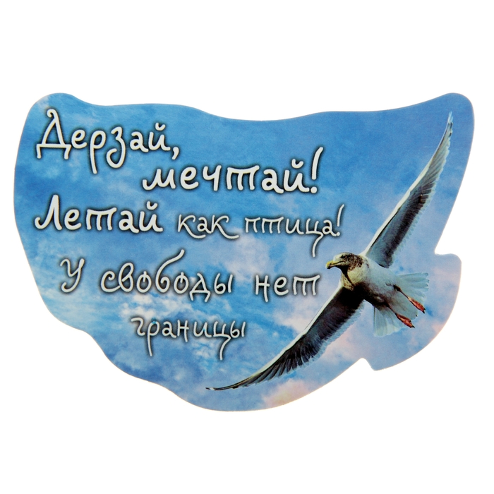 Магнит паспарту "Дерзай, мечтай!"