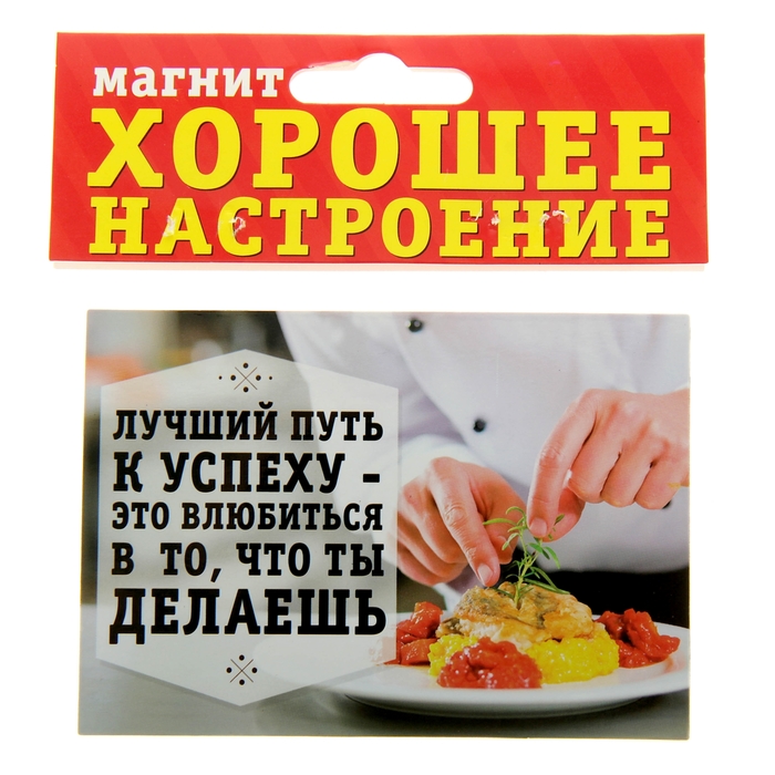 Магнит паспарту "Лучший путь к успеху"