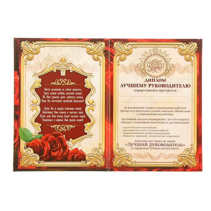 Диплом "Лучшему руководителю"