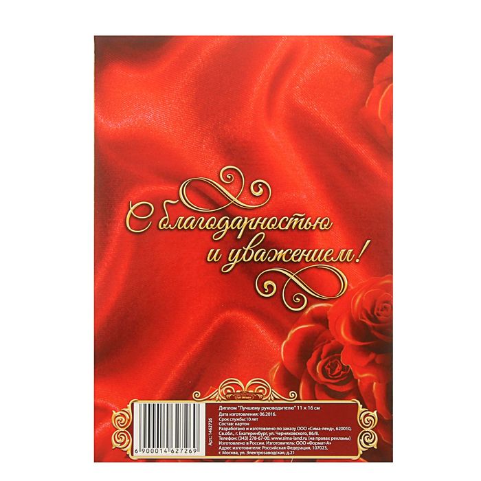 Диплом "Лучшему руководителю"