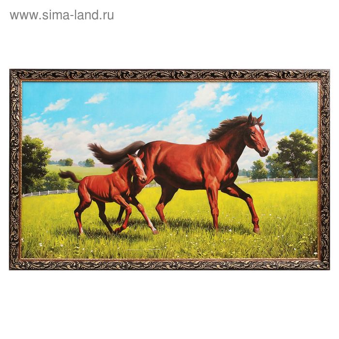 

Картина "Кони: жеребёнок" 67х107 см