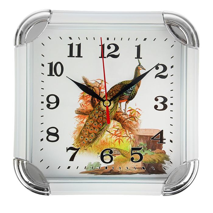 Часы настенные квадратные "Павлин", с закруглёнными краями, белый обод, малые