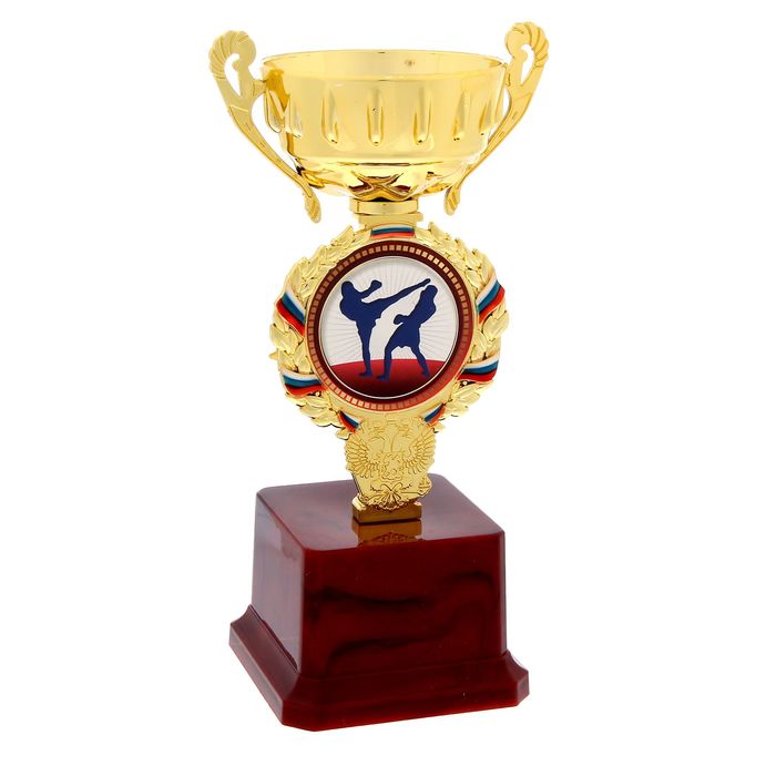 Кубок спортивный "Кикбоксинг"