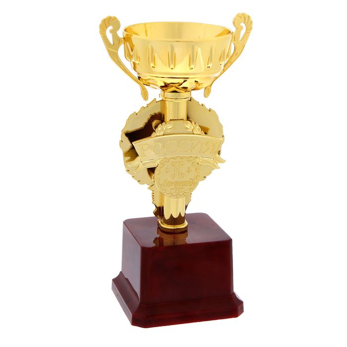 Кубок спортивный "Кикбоксинг"