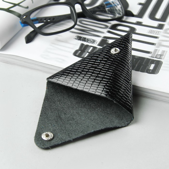 Футляр для монет на кнопке, игуана, цвет чёрный