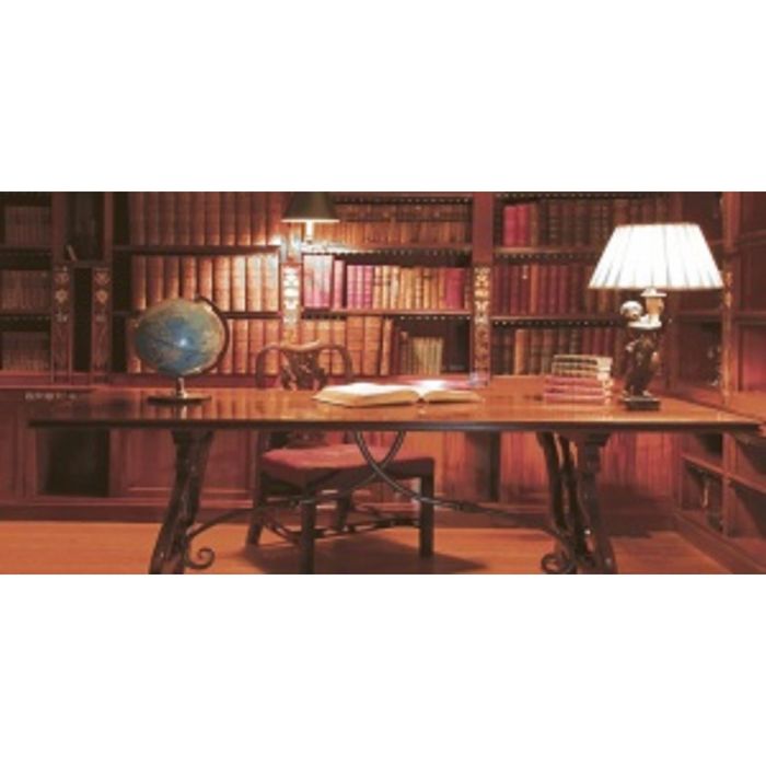 Вставка керамическая 50х25см Тоскана коричневый 10-05-15-714