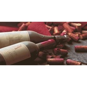 

Вставка керамическая 50х25см Тоскана коричневый 10-05-15-712