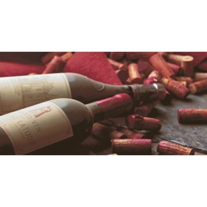 Вставка керамическая 50х25см Тоскана коричневый 10-05-15-712