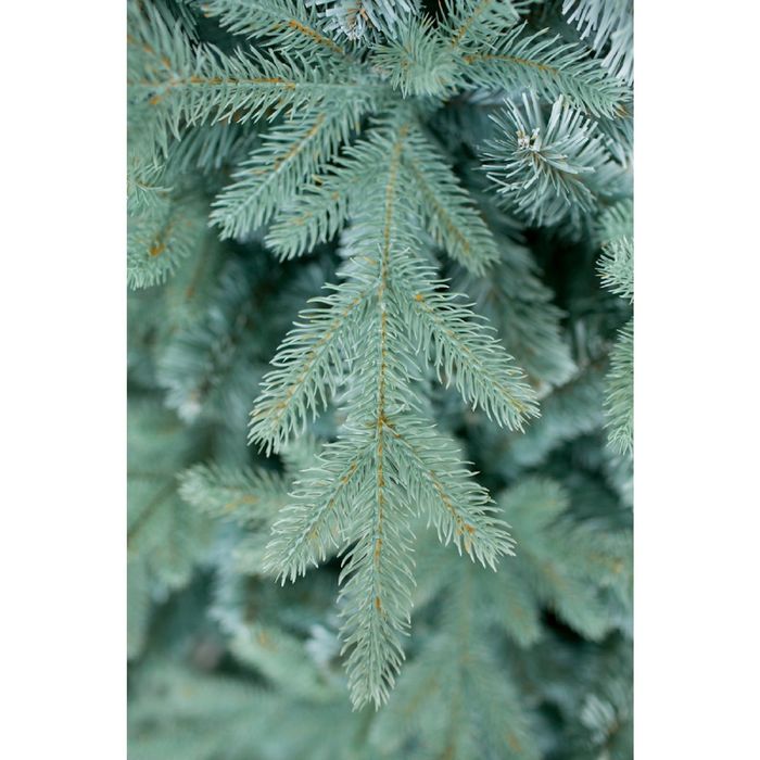 Ёлка "Россо" Премиум 210±5 см, d нижнего яруса 144±3 см, 943 ветки