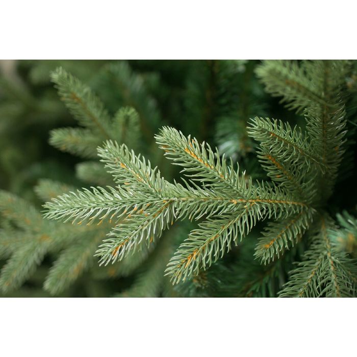 Ёлка "Валерио" Премиум 180±5 см, d нижнего яруса 124±3 см, 589 веток