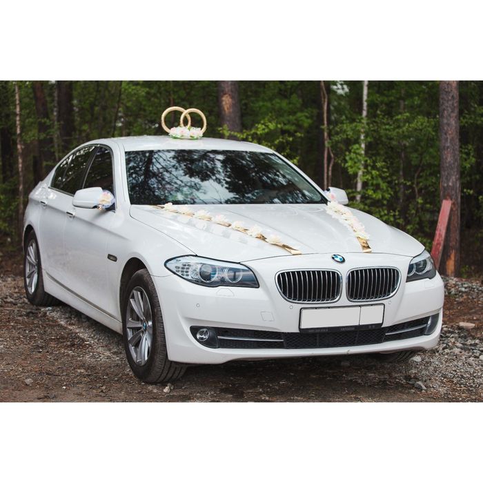 Набор для украшения автомобиля: кольца на крышу, 2 ленты на капот, 2 банта, синий