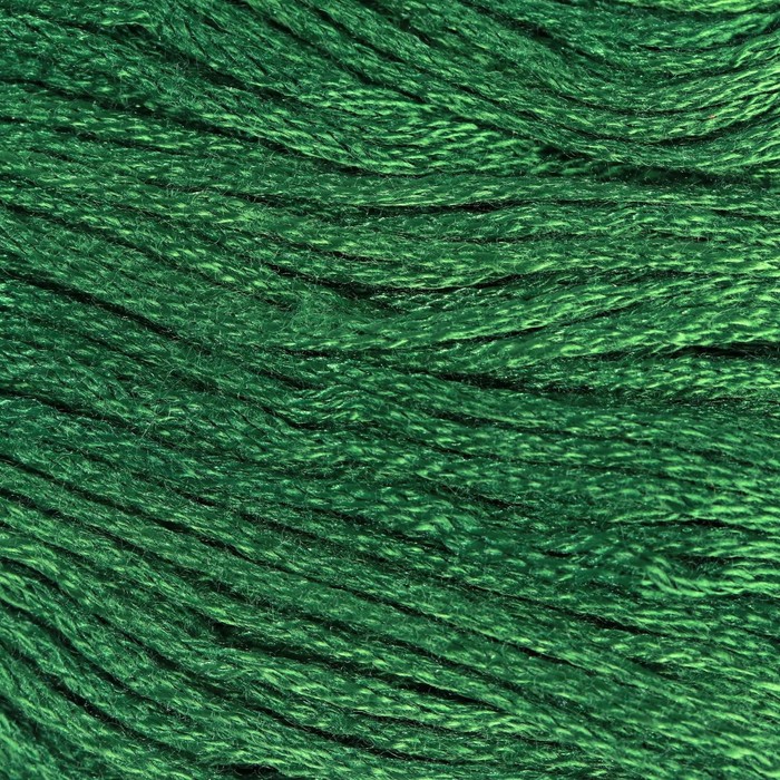 Нитки мулине, 8 ± 1 м, цвет тёмно-зелёный №890