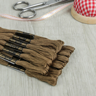 Мулине, № 611, 8±1 м, цвет зелено-коричневый