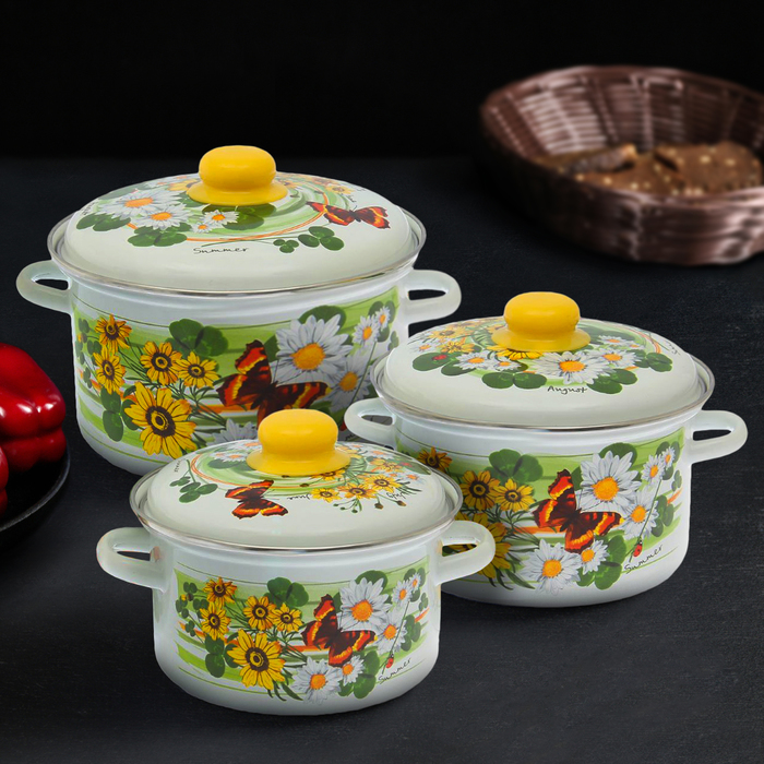 Набор кастрюль "Лето", 3 шт: 2 л, 3 л, 4 л