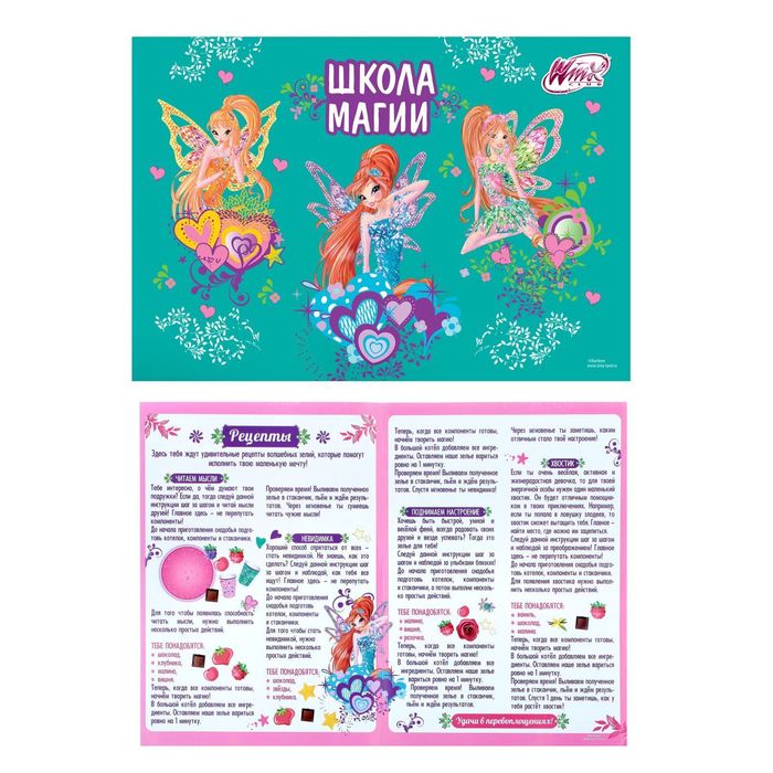 Игра с магнитами "Школа магии", феи ВИНКС, 46 магнитов
