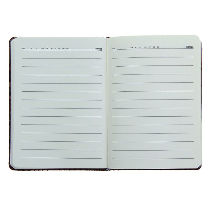 Ежедневник недатированный формат А6, 80 листов, линия, Крокодил коричневый