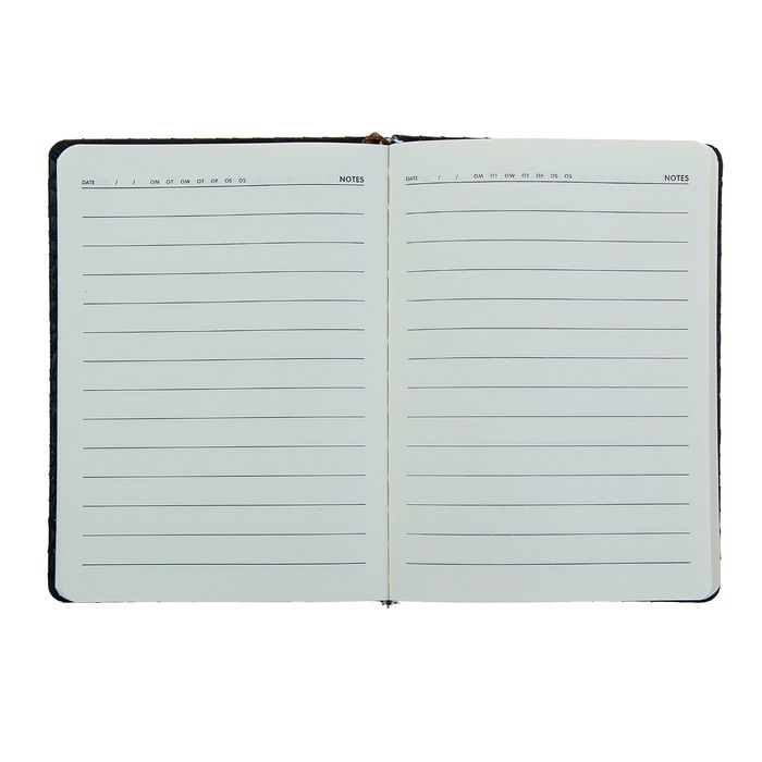 Ежедневник недатированный формат А6, 80 листов, линия, Крокодил черный