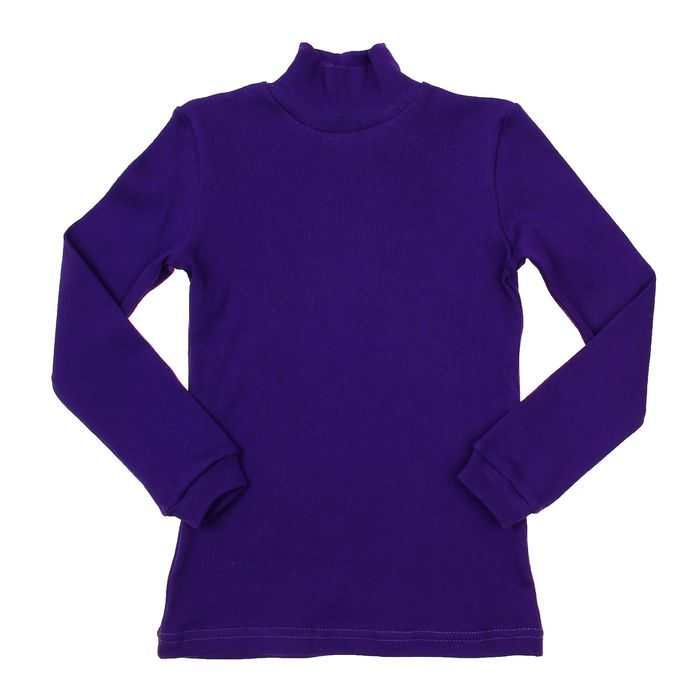 Водолазка для мальчика, рост 98-104 см, цвет тёмно-фиолетовый (арт. 1015_Д)