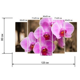 

Картина модульная на подрамнике "Розовые орхидеи" 125*80 см