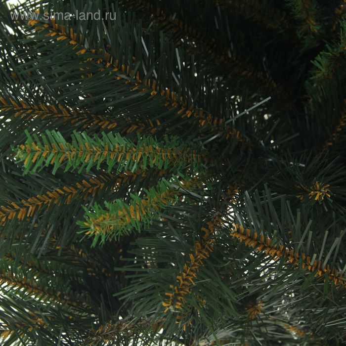 

Ёлка "Дакс" 120±5 см, длина иголок 45 мм, d нижнего яруса 102±3 см, 232 ветки