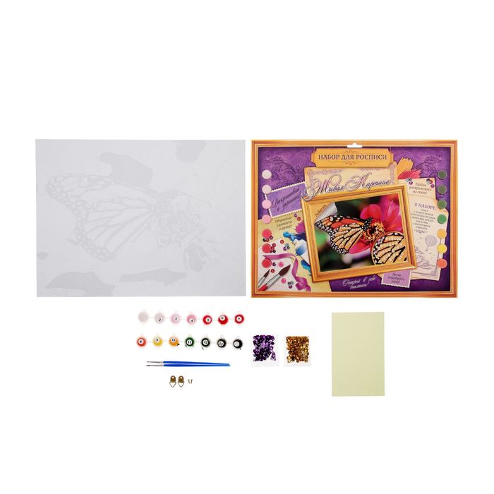 Роспись по номерам без подрамника "Бабочка", с пайетками, 40 х 30 см