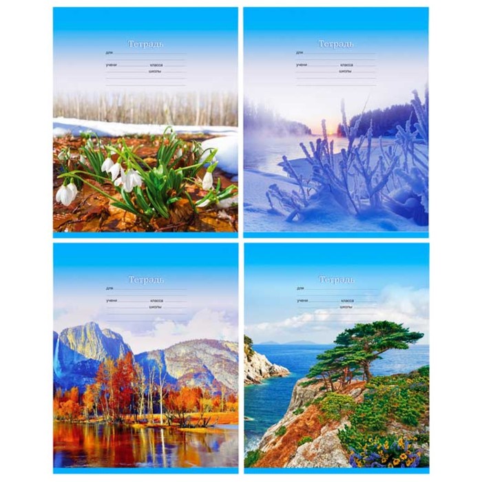 Тетрадь 12 листов линейка "Seasons", картонная обложка, МИКС