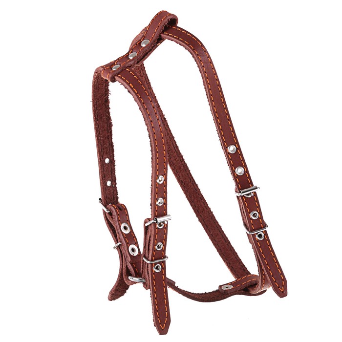 Шлейка кожаная "Прогулочная", 1,5 см, обхват шеи 35-50 см, обхват груди 60-68 см
