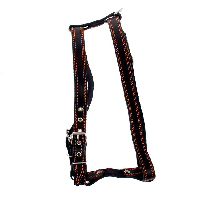 Шлейка кожаная "Прогулочная", 2,5 см, обхват шеи 57-76 см, обхват груди 74-84 см
