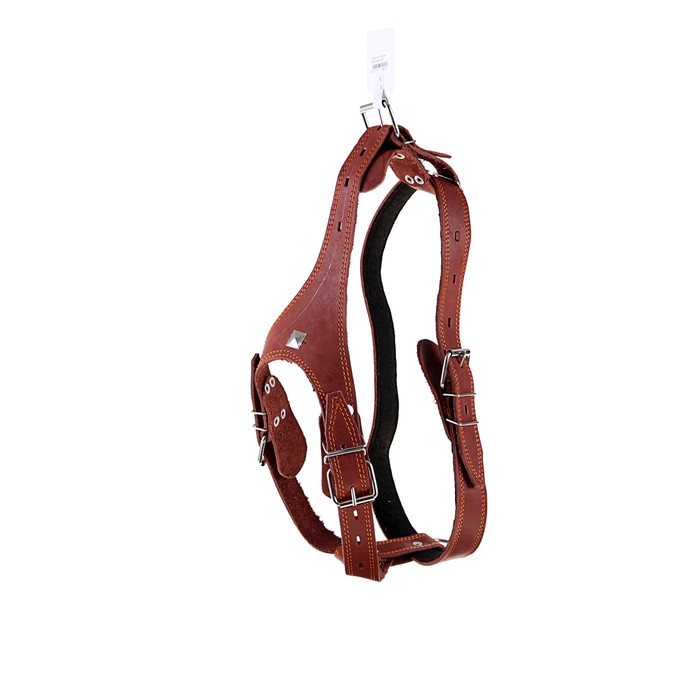 Шлейка кожаная "Караульная", 3,6 см, обхват шеи 40-74 см, обхват груди 95-110 см