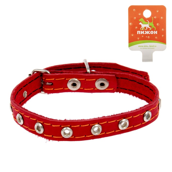 Ошейник кожаный однослойный, безразмерный, 36 х 1,5 см микс цветов