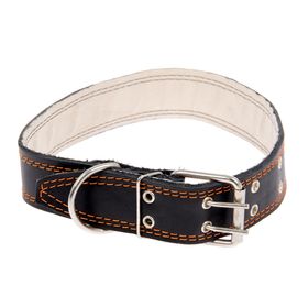 

Ошейник кожаный двухслойный, 85 х 4.5 см, ОШ 50-70 см, микс цветов
