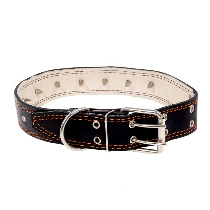 Ошейник кожаный "Строгий шип", 84 х 4,5 см  МИКС ЦВЕТОВ