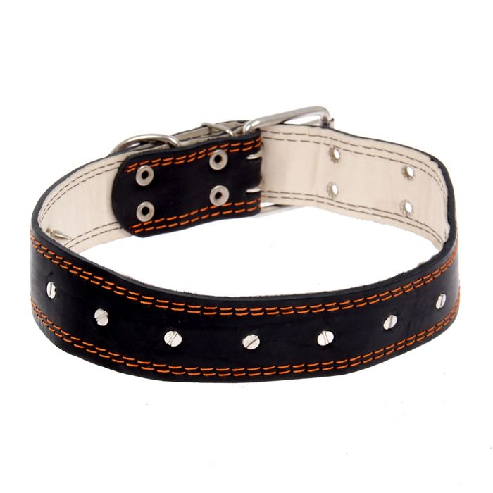 Ошейник кожаный "Строгий шип", 84 х 4,5 см МИКС ЦВЕТОВ