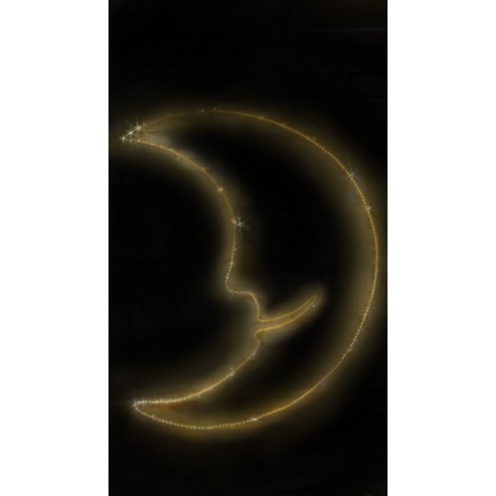Светодиодное панно "МЕСЯЦ", 1 х 0.96 м, led-шнур 4 м, 10 Вт, металлический каркас