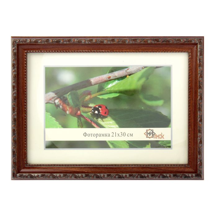 Фоторамка 21х30 см "Черёмуха"