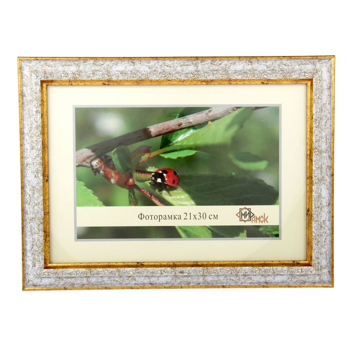 Фоторамка 21х30 см "Золотое обрамление"