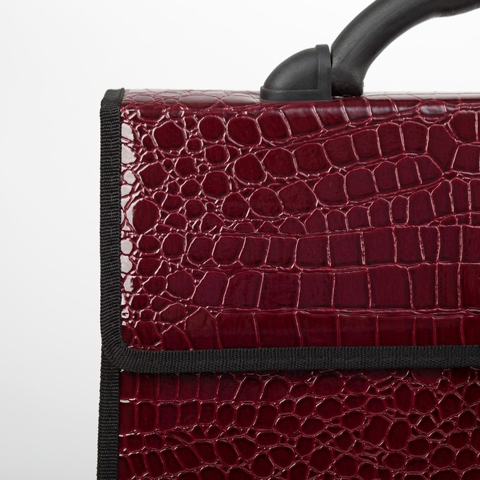 Портфель деловой "Колпино", 2 отдела, бордовая анаконда