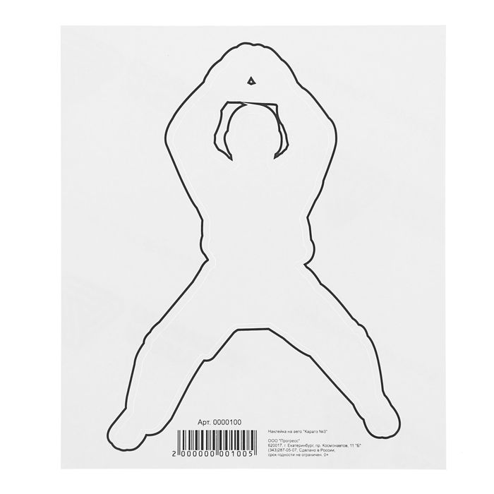 Наклейка на авто "Каратэ №3"