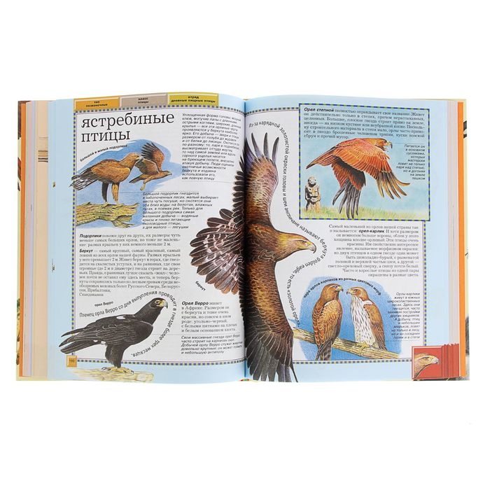 Полная энциклопедия «Животные»