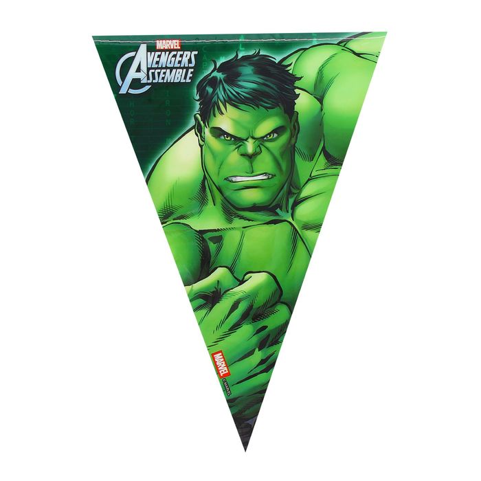 Гирлянда-вымпелы 2,3 м "Мстители" / Avengers Power