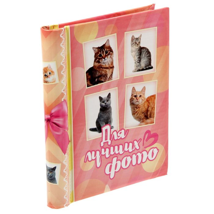 Фотоальбом "Для лучших фото", 10 магнитных листов