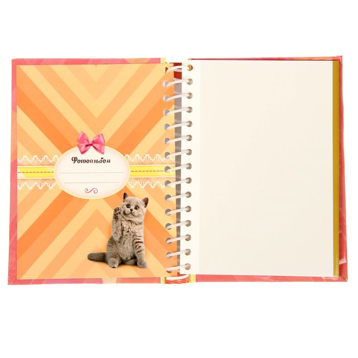 Фотоальбом "Для лучших фото", 10 магнитных листов