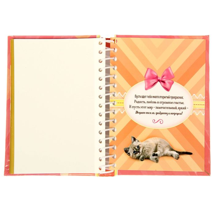 Фотоальбом "Для лучших фото", 10 магнитных листов