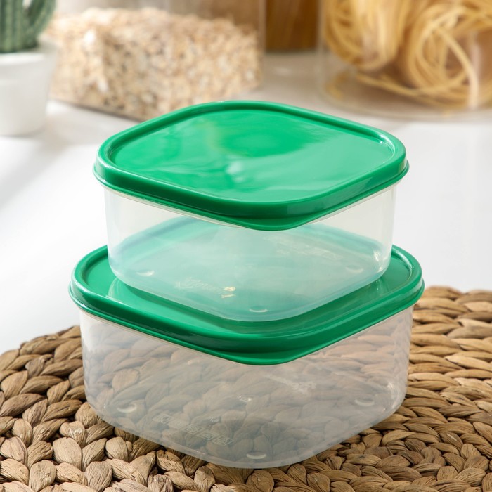 Набор пищевых контейнеров, 2 шт: 450 мл, 700 мл, цвет зелёный