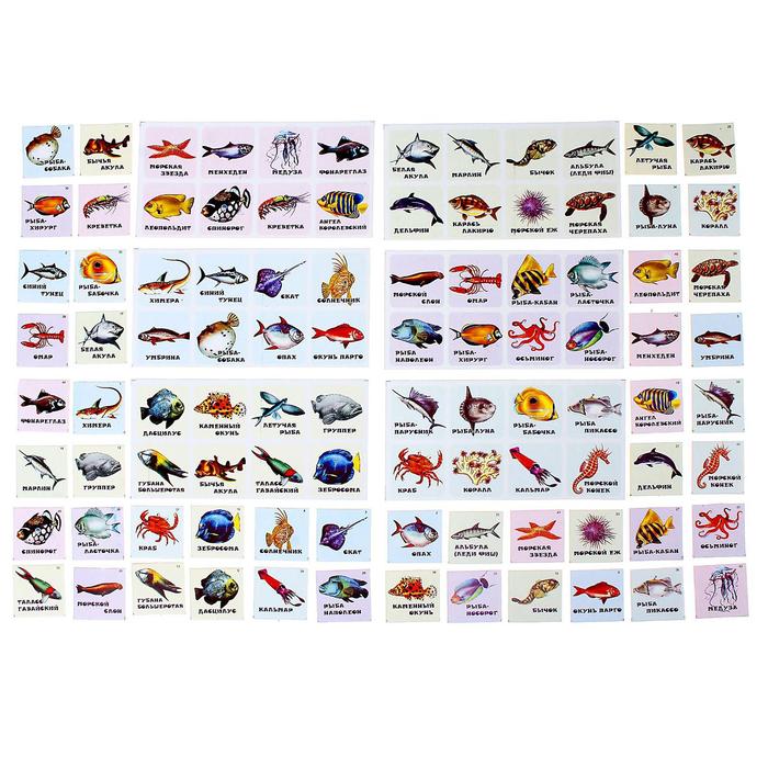 Лото "Подводный мир"